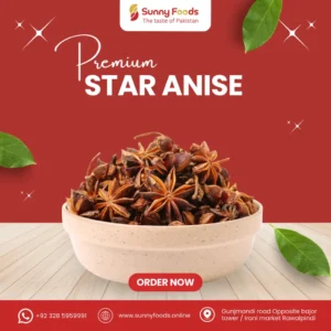 Whole star anise spice used in Asian dishes and spice blends.