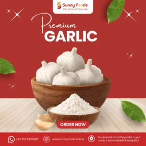 Fresh garlic bulbs used for cooking, seasoning, and health benefits